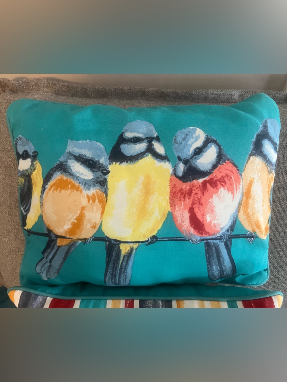 Set of 2 🐦 Decorative Bird Throw Pillows in Teal, Yellow & Red - Picture 2 of 5
